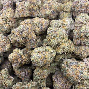 Cannabis